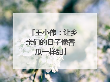 王小伟：让乡亲们的日子像香瓜一样甜
