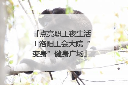 点亮职工夜生活！洛阳工会大院“变身”健身广场