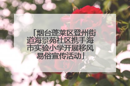 烟台蓬莱区登州街道海景苑社区携手海市实验小学开展移风易俗宣传活动