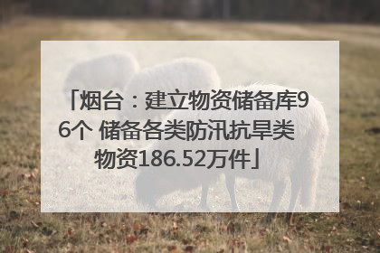 烟台：建立物资储备库96个 储备各类防汛抗旱类物资186.52万件