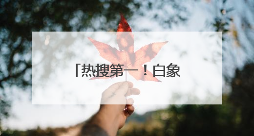 热搜第一！白象就“多半”商标发声明致歉：注册初心是做份量区分，将尽快调整