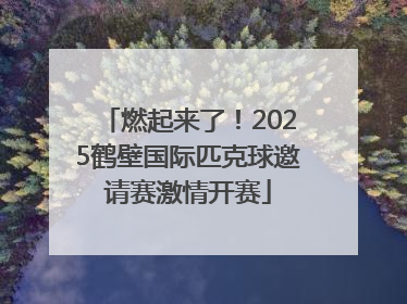 燃起来了！2025鹤壁国际匹克球邀请赛激情开赛