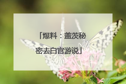 爆料：盖茨秘密去白宫游说