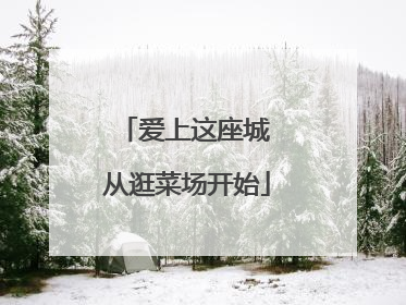 爱上这座城 从逛菜场开始