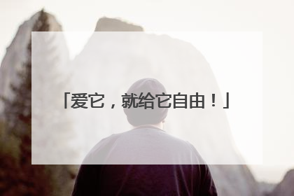 爱它，就给它自由！