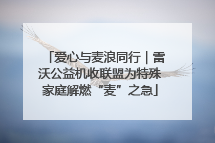 爱心与麦浪同行｜雷沃公益机收联盟为特殊家庭解燃“麦”之急