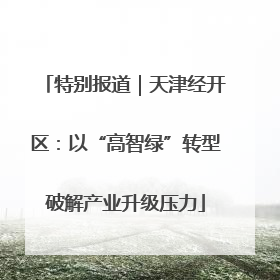 特别报道｜天津经开区：以“高智绿”转型破解产业升级压力
