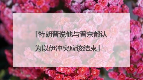 特朗普说他与普京都认为以伊冲突应该结束