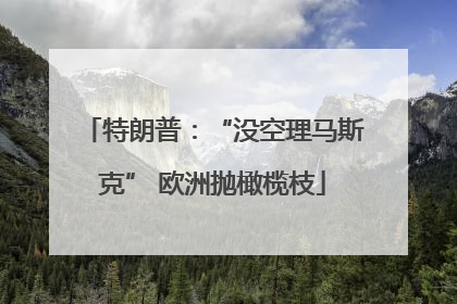 特朗普：“没空理马斯克” 欧洲抛橄榄枝