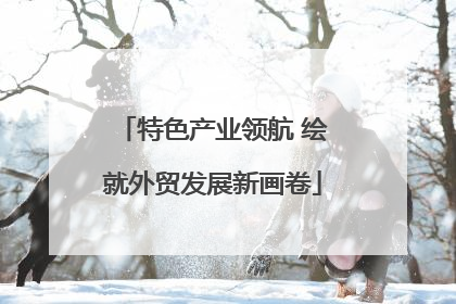 特色产业领航 绘就外贸发展新画卷
