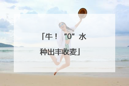 牛！“0”水种出丰收麦