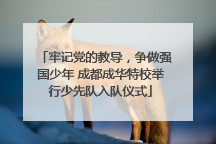 牢记党的教导，争做强国少年 成都成华特校举行少先队入队仪式
