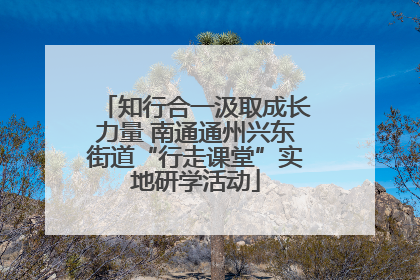 知行合一汲取成长力量 南通通州兴东街道“行走课堂”实地研学活动