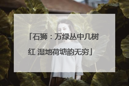 石狮：万绿丛中几树红 湿地荷塘韵无穷