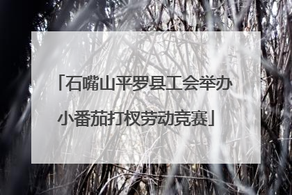 石嘴山平罗县工会举办小番茄打杈劳动竞赛