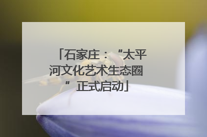 石家庄：“太平河文化艺术生态圈”正式启动