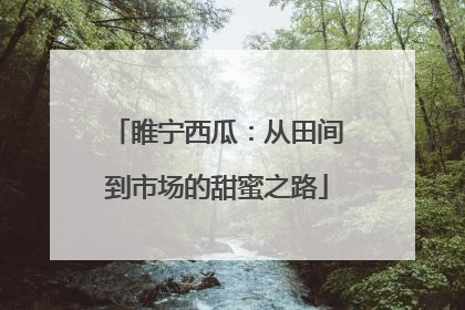 睢宁西瓜：从田间到市场的甜蜜之路