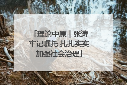 理论中原｜张涛：牢记嘱托 扎扎实实加强社会治理