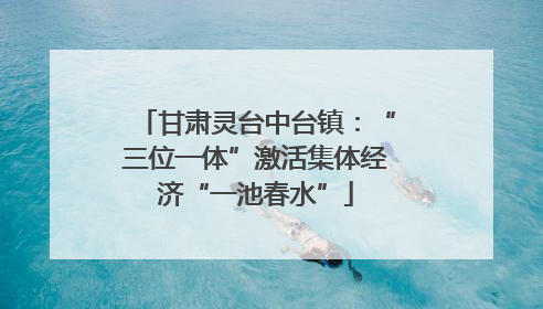 甘肃灵台中台镇：“三位一体”激活集体经济“一池春水”