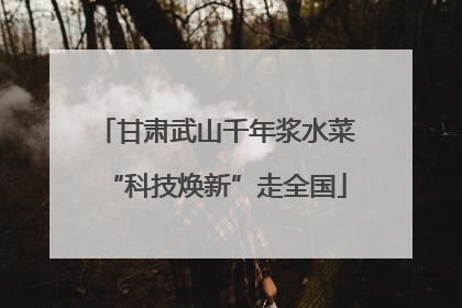 甘肃武山千年浆水菜“科技焕新”走全国