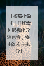 番茄小说《十日终焉》影视化导演官宣，将由许宏宇执导