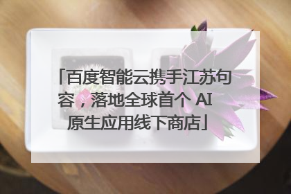 百度智能云携手江苏句容，落地全球首个 AI 原生应用线下商店
