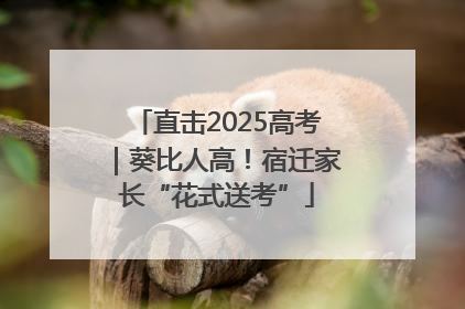 直击2025高考｜葵比人高！宿迁家长“花式送考”