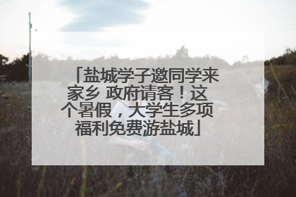盐城学子邀同学来家乡 政府请客！这个暑假，大学生多项福利免费游盐城