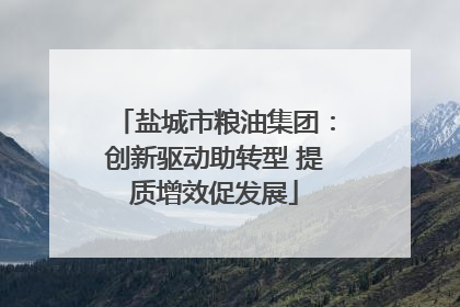 盐城市粮油集团：创新驱动助转型 提质增效促发展