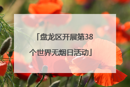 盘龙区开展第38个世界无烟日活动