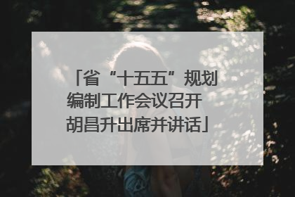 省“十五五”规划编制工作会议召开 胡昌升出席并讲话