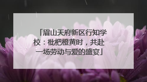 眉山天府新区行知学校：枇杷橙黄时，共赴一场劳动与爱的盛宴