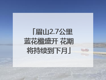 眉山2.7公里蓝花楹盛开 花期将持续到下月