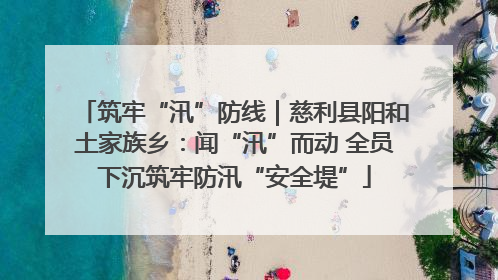 筑牢“汛”防线｜慈利县阳和土家族乡：闻“汛”而动 全员下沉筑牢防汛“安全堤”