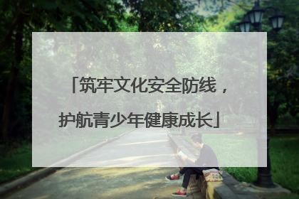 筑牢文化安全防线，护航青少年健康成长
