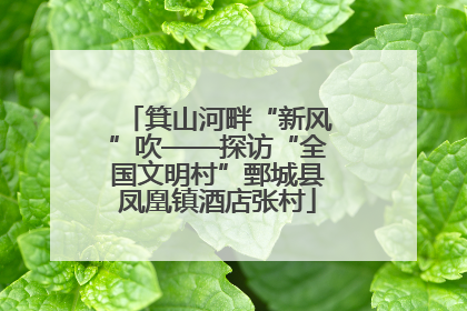 箕山河畔“新风”吹——探访“全国文明村”鄄城县凤凰镇酒店张村