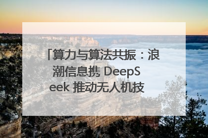 算力与算法共振：浪潮信息携 DeepSeek 推动无人机技术在舟山落地
