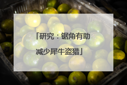 研究：锯角有助减少犀牛盗猎