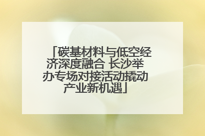 碳基材料与低空经济深度融合 长沙举办专场对接活动撬动产业新机遇