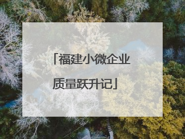 福建小微企业质量跃升记
