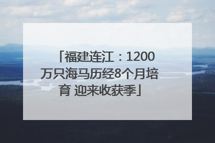 福建连江：1200万只海马历经8个月培育 迎来收获季