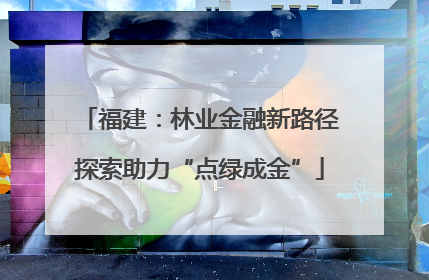 福建：林业金融新路径探索助力“点绿成金”
