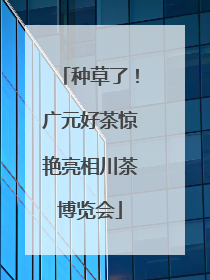 种草了！广元好茶惊艳亮相川茶博览会
