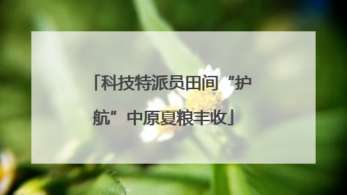 科技特派员田间“护航”中原夏粮丰收