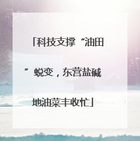 科技支撑“油田”蜕变，东营盐碱地油菜丰收忙