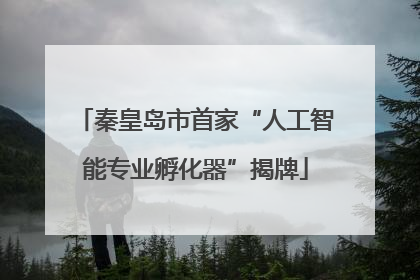 秦皇岛市首家“人工智能专业孵化器”揭牌