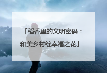 稻香里的文明密码：和美乡村绽幸福之花