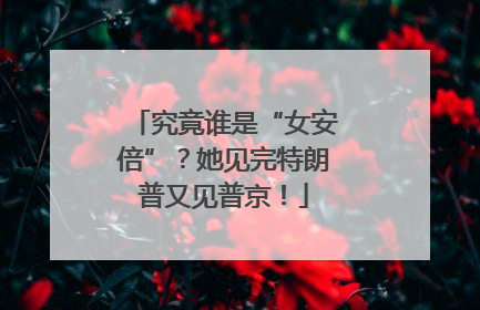 究竟谁是“女安倍”？她见完特朗普又见普京！