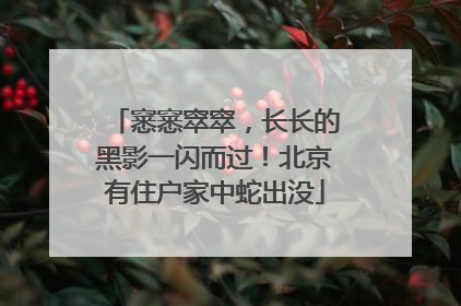 窸窸窣窣，长长的黑影一闪而过！北京有住户家中蛇出没