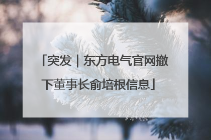 突发｜东方电气官网撤下董事长俞培根信息
